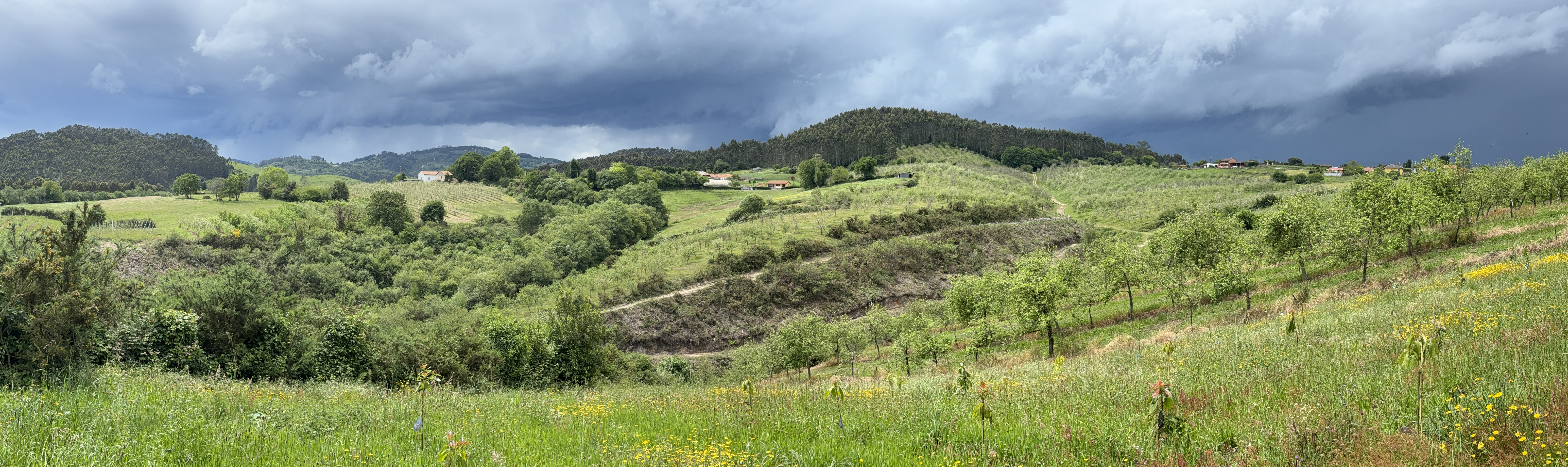 Paisaje de Finca Gallinal