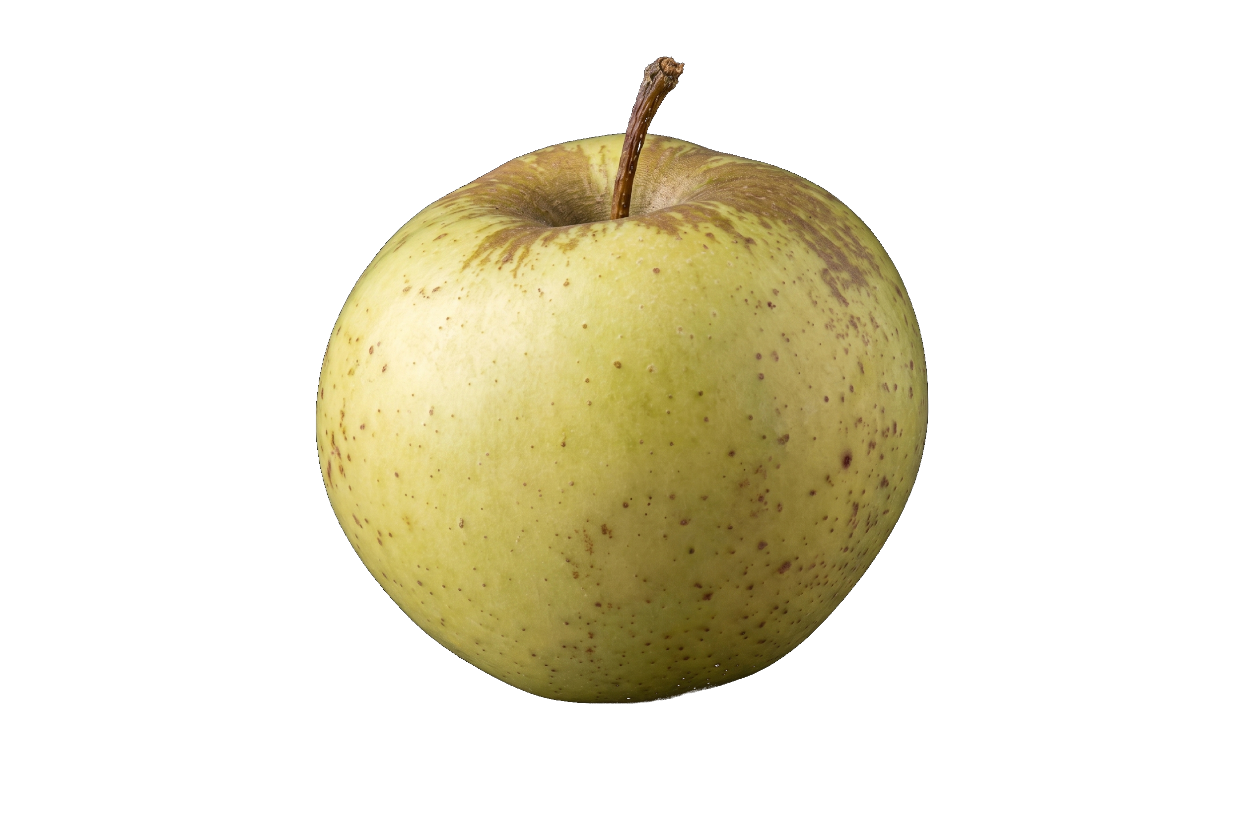 Corchu