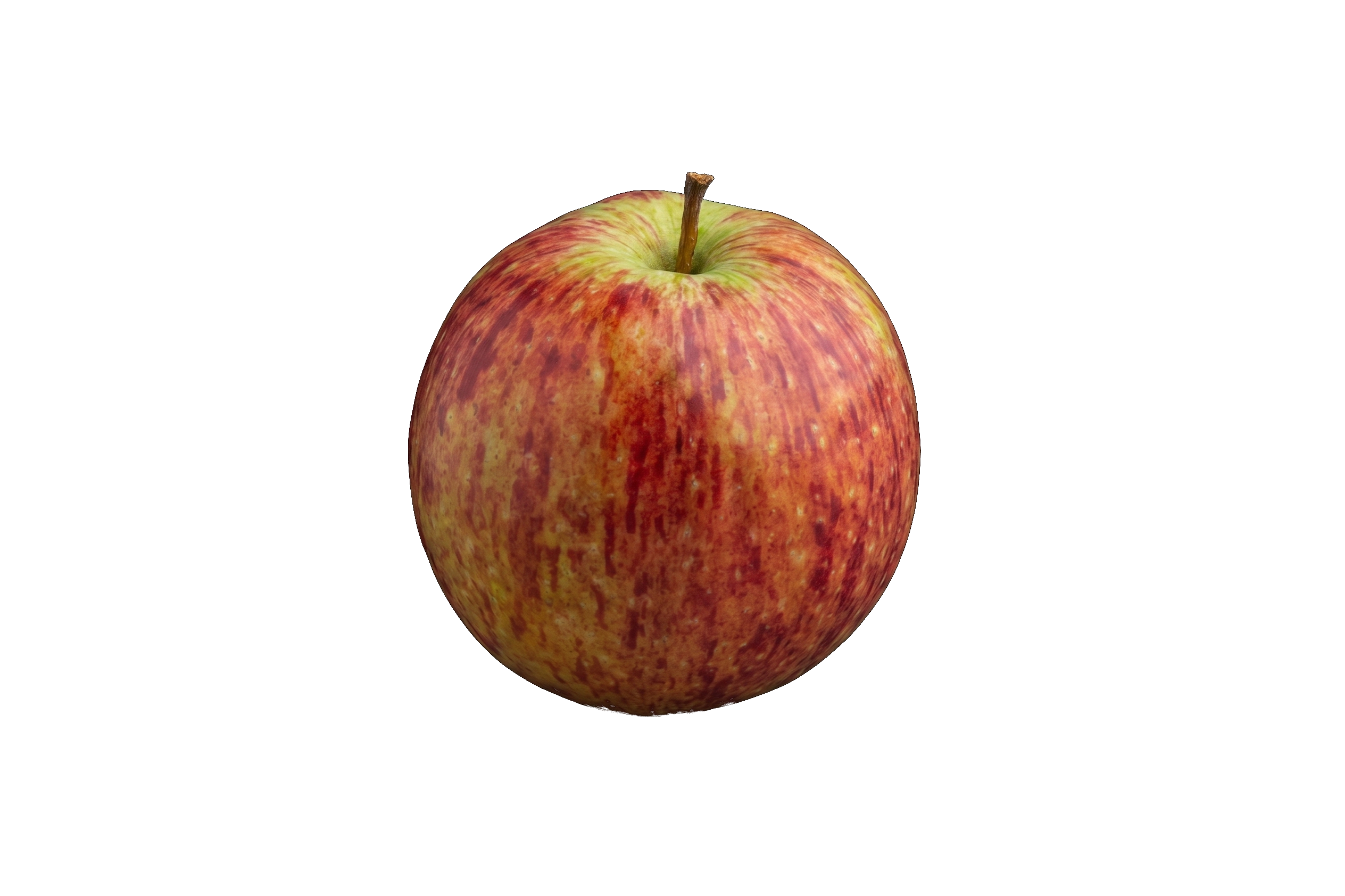 Raxarega