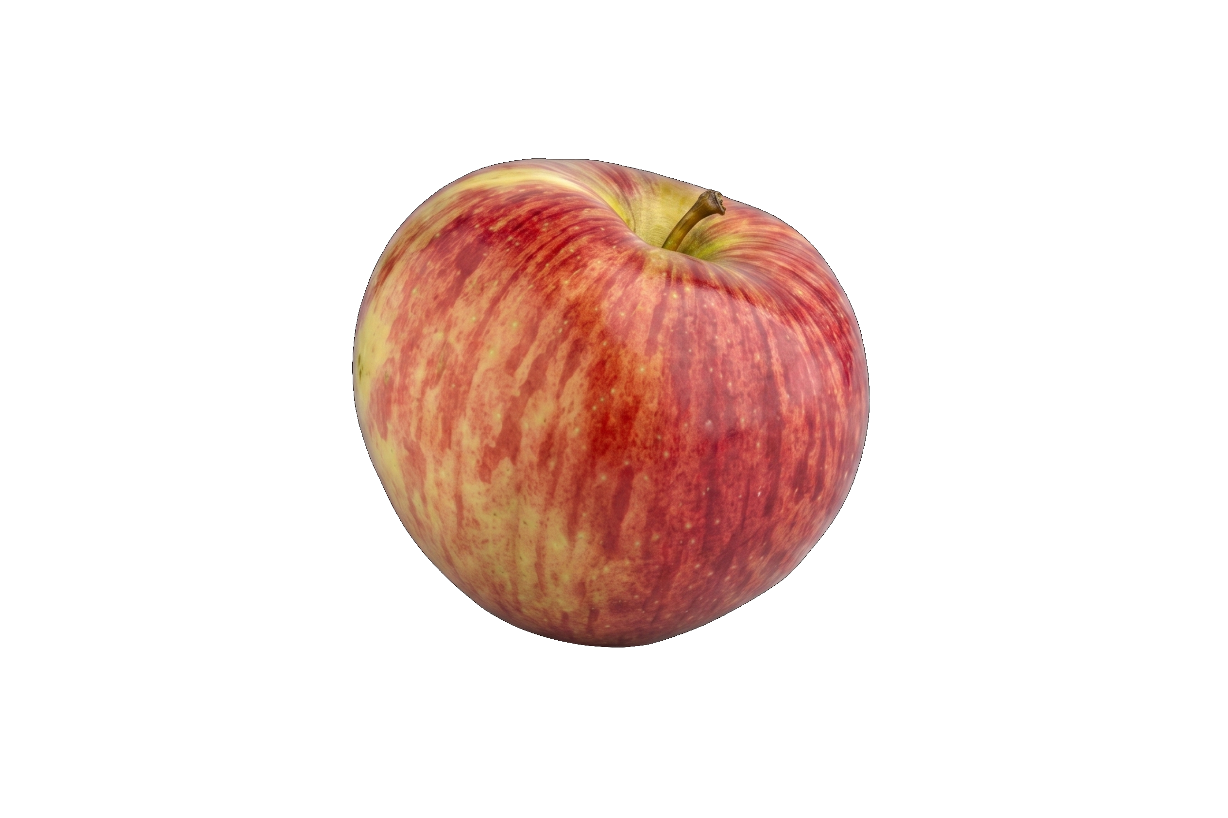 Rosadona