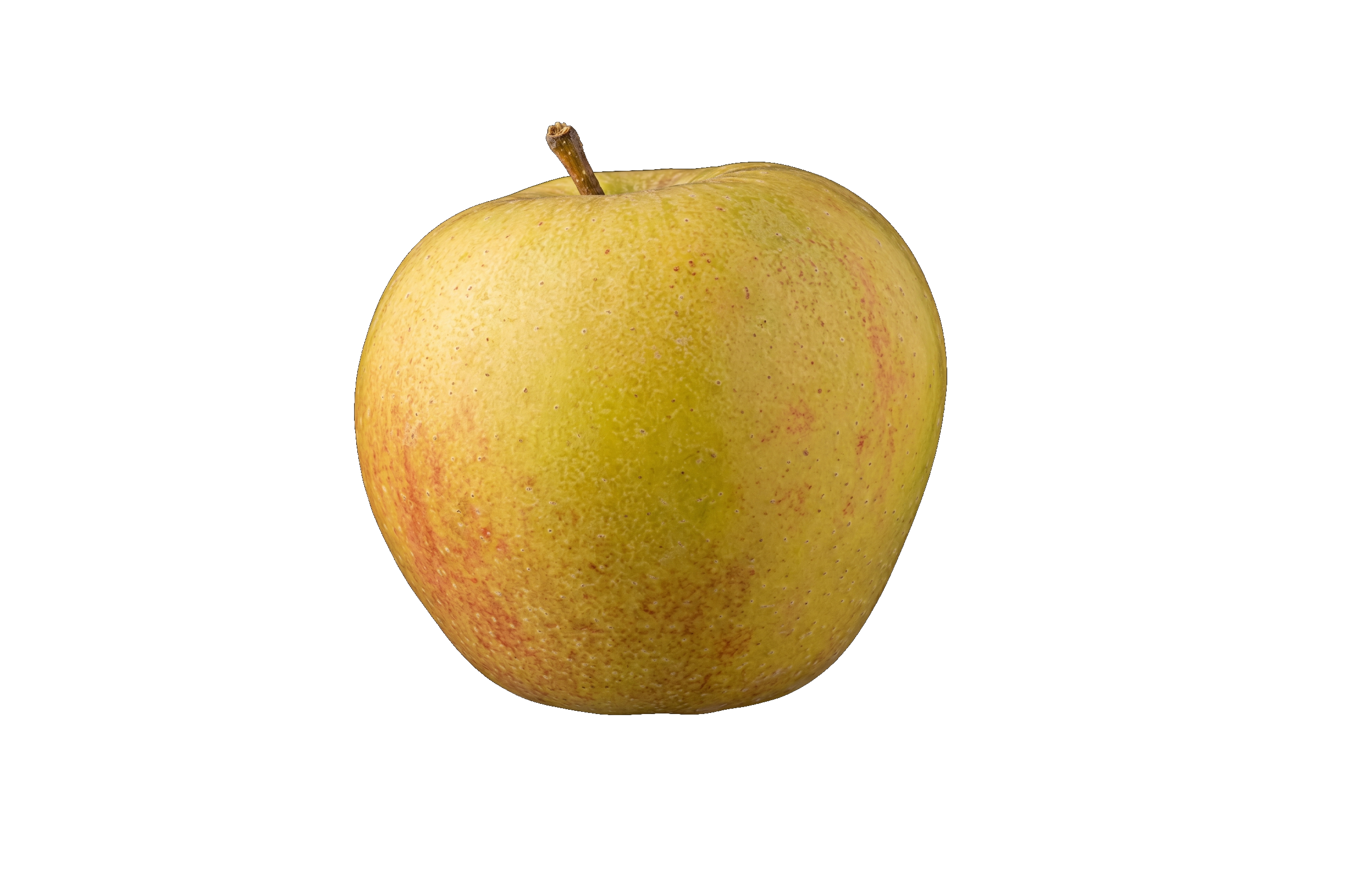 Belle de Boskoop