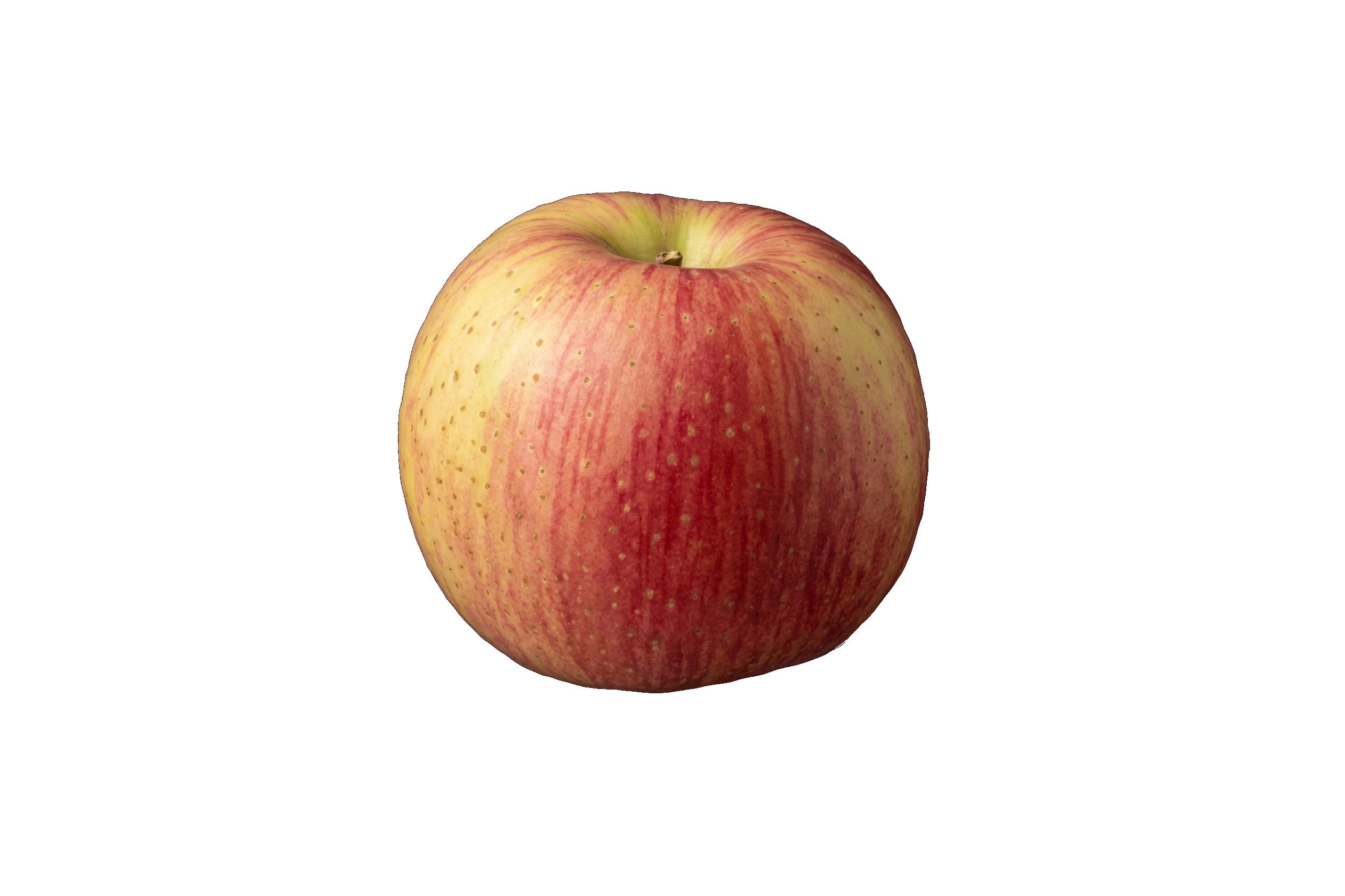 Tom Putt