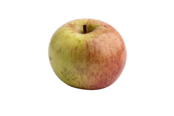 Manzana