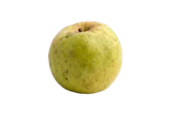 Manzana