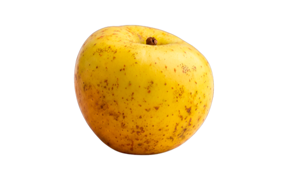 Manzana